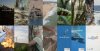 Turismo de Canarias celebra el D&iacute;a de la Tierra con un homenaje a los sonidos de la naturaleza de las ocho islas