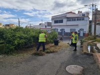 Villa de Firgas: El plan de empleo realiza tareas de limpieza y desbroce en Padilla y Rosales