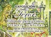 La exposici&oacute;n &ldquo;Teror, Villa de peregrinos&raquo; se inaugura el pr&oacute;ximo viernes en el marco de la Fiesta del Pino