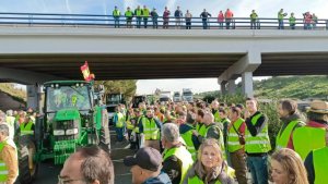 ASAJA, COAG y UPA convocarán actos de protesta en Madrid el próximo 26 de febrero