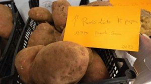 Valleseco: Llega una nueva edición del popular concurso de la papa más grandes en Madrelagua