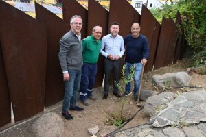 Gáldar: Huertas del Rey acoge una plantación de mimbreras para la artesanía