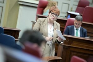 Delgado reitera que los proyectos contra la violencia de g&eacute;nero se ejecutan a la espera de la transferencia estatal