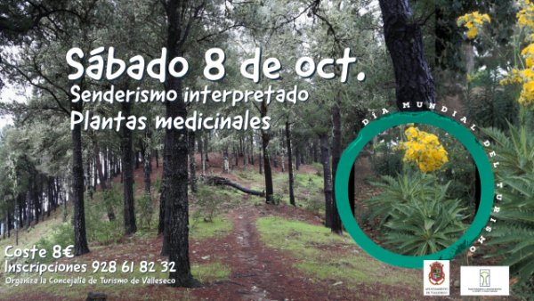 Senderismo de plantas medicinales en Valleseco por el Día Mundial del Turismo