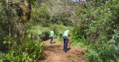 Empleo ampl&iacute;a su presupuesto en 2024 y dedica m&aacute;s de 23 millones de euros a formaci&oacute;n e inserci&oacute;n laboral