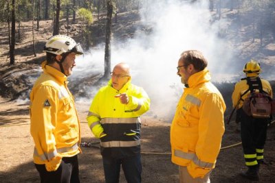 Una infografía del Cabildo sobre la gestión del pinar grancanario destaca la importancia de las quemas prescritas en la prevención de grandes incendios forestales