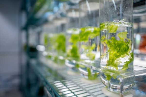 La incubadora de empresas Bioasis Gran Canaria obtiene un premio nacional por sus buenas prácticas