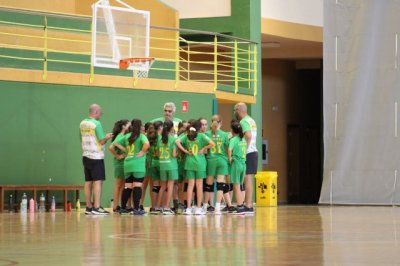 Balonmano: 7&ordf; jornada de la jornada de la copa deporte= salud del alev&iacute;n del G&aacute;ldar BF