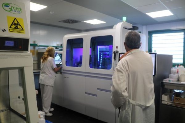 Sanidad comunica cinco casos confirmados y uno en estudio de viruela del mono desde ayer