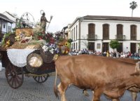 Teror acoge este s&aacute;bado la Romer&iacute;a Ofrenda a San Isidro Labrador