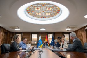 Aprobado el decreto ley que regula las prestaciones econ&oacute;micas vinculadas al cuidado de personas dependientes