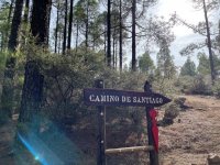 Especialistas de primer nivel se re&uacute;nen en el I Symposium del Camino de Santiago entre volcanes