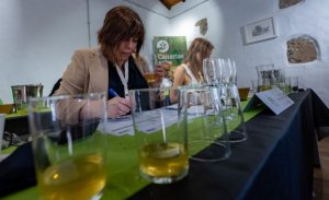 Valleseco: La mejor sidra del archipiélago se elige entre 23 candidatas en el Concurso Agrocanarias