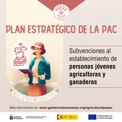 El Gobierno canario apoya el emprendimiento en el sector agrario con ayudas de hasta 100.000 euros por joven