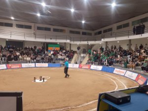 Lucha Canaria: Brillante inicio del Torneo Disa Gobierno de Canarias