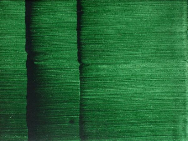 El ‘Arrullo salvaje’ de Capi Cabrera se despliega en la Sala de Arte Contemporáneo
