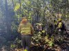 El incendio de Tenerife contin&uacute;a registrando unas veinte reproducciones diarias