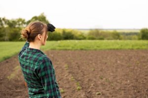 El Gobierno canario concede subvenciones por valor de 2,42 millones de euros a jóvenes agricultores y agricultoras