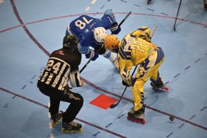 El Arona Tenerife Guanches cierra una temporada hist&oacute;rica como subcampe&oacute;n de la Liga &Eacute;lite de Hockey L&iacute;nea