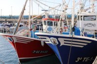 El Gobierno canario reclama protecci&oacute;n para la flota artesanal en el nuevo r&eacute;gimen pesquero de la UE