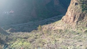 Valleseco organiza la &uacute;ltima ruta de senderismo del a&ntilde;o por Guayadeque