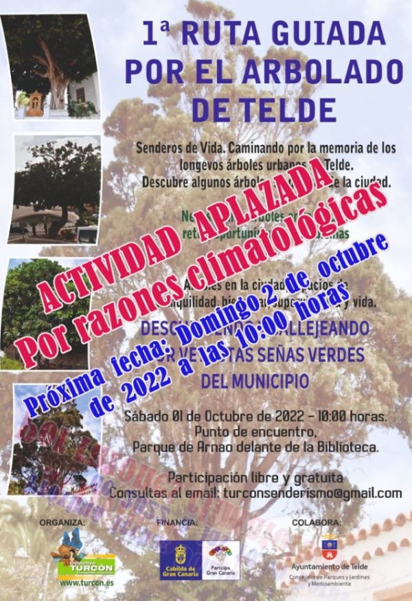 Ruta del Arbolado Urbano de Telde. Actividad aplazada