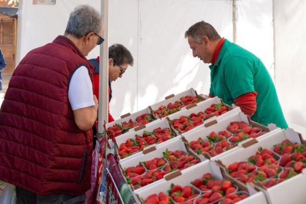 El Mercado Agr&iacute;cola de G&aacute;ldar regresa este domingo en su segunda edici&oacute;n del a&ntilde;o apostando por lo local