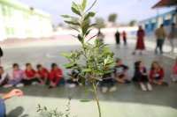 El CEIP Las Dunas, situado en San Bartolomé de Tirajana, el primer centro de Canarias en participar en el proyecto ‘Árboles’