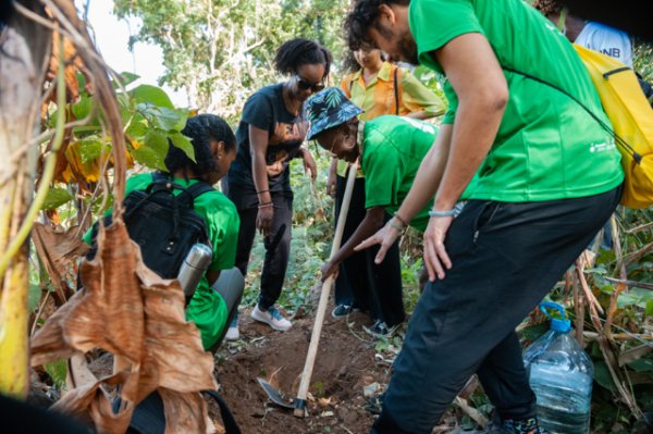 TREEMAC cierra su andadura de 4 a&ntilde;os con un balance de resultados favorable