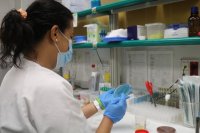 Sanidad investiga un brote de toxiinfección alimentaria en Gran Canaria por salmonella