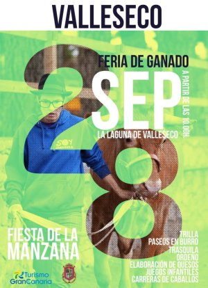 Valleseco celebra su Feria de Ganado con la mejor cabaña ganadera de la isla