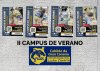 La Federaci&oacute;n Insular y el Instituto Insular de Deportes del Cabildo de Gran Canaria organizan el II Campus de Verano de Lucha Canaria