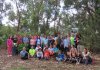 Villa de Firgas: Nueva plantaci&oacute;n de Laurisilva en Las Huertecillas por colectivos sociales de Valleseco y Firgas