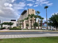 El Hospital Universitario Insular de Gran Canaria alcanzó en 2023 su récord con 86 trasplantes renales