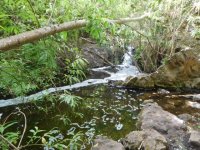 Transici&oacute;n Ecol&oacute;gica estudia posibles sanciones por vertidos en el barranco de Azuaje, en Gran Canaria