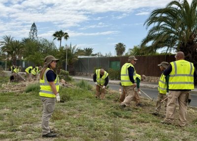 Limpieza retira 36 toneladas de residuos en barrios y zonas periféricas desde diciembre