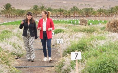 Schallenberg visita los trabajos contra la desertificaci&oacute;n de la Granja Experimental de Pozo Negro en Fuerteventura