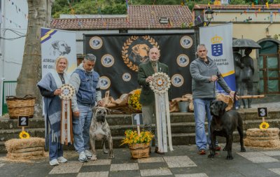 Hades de Hacaislu revalida en Valleseco el título al mejor ejemplar del Concurso Monográfico del Presa Canario