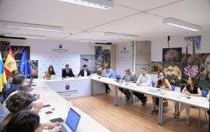 Canarias pide al Estado no cerrar el grifo de la financiaci&oacute;n cuando la transici&oacute;n energ&eacute;tica est&aacute; dando resultados