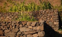 La Gomera: El Banco Insular de Tierras intensifica su actividad tras cinco meses de funcionamiento