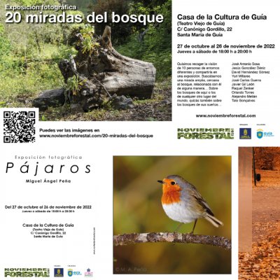 Noviembre Forestal 2022 visita Gu&iacute;a con las exposiciones &lsquo;P&aacute;jaros&rsquo; y &rsquo;20 Miradas del bosque&rsquo;