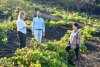 Vanoostende anuncia mejoras en las redes de riego y carreteras de acceso a vi&ntilde;edos en el sur de La Palma