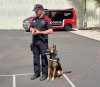 La Consejer&iacute;a de Presidencia imparte formaci&oacute;n de orden p&uacute;blico a gu&iacute;as caninos de la Polic&iacute;a Auton&oacute;mica y Local
