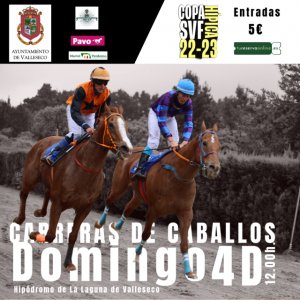 Vuelve este domingo las carreras de caballos a Valleseco