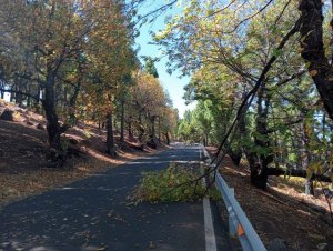 El Cabildo moviliza a un centenar operarios desde esta noche para atender las incidencias en las carreteras de la isla