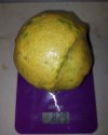 Un vecino de Valleseco consigue un lim&oacute;n de m&aacute;s de 800 gramos de peso