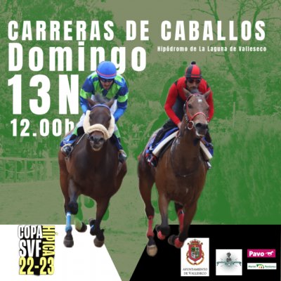 Segunda cita de la Copa de Hípica de SVF de Valleseco