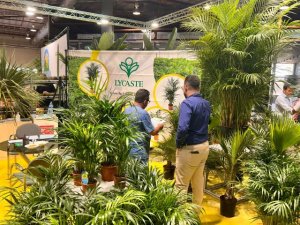 Las empresas de horticultura de Canarias esperan superar los 300.000 &euro; de cifra de negocio en Iberflora
