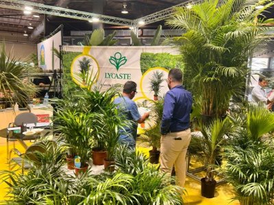 Las empresas de horticultura de Canarias esperan superar los 300.000 &euro; de cifra de negocio en Iberflora
