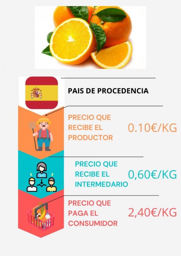 Las asociaciones de agricultores independientes españolas critican a la Sra. Yolanda Díaz, de ponerse de acuerdo con las grandes superficies